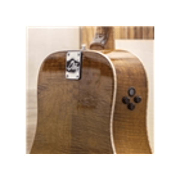 Eko Guitars Ranger Futura