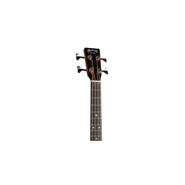 Martin & Co. D Jr-10E BASS