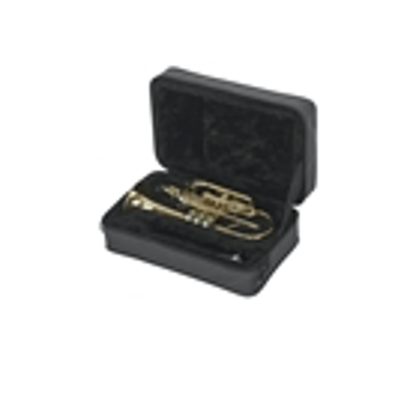 Gator Cases GL-CORNET-A Custodia Cornetta