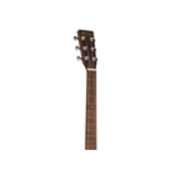 Martin & Co. 00-X2E Cocobolo Remastered