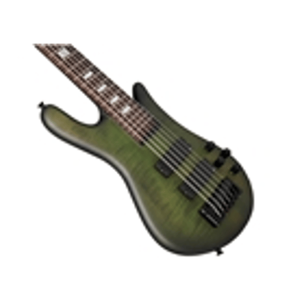 Spector Euro 6 LX - Haunted Moss Matte
