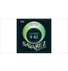 ico 2