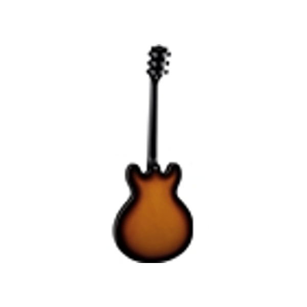 Eko Guitars SA 350