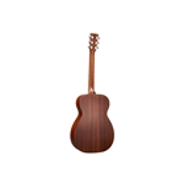 Martin & Co. 00-10E Special