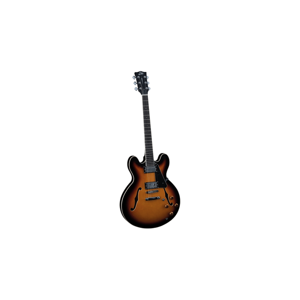 Eko Guitars SA 350