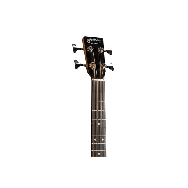 Martin & Co. D Jr-10E BASS