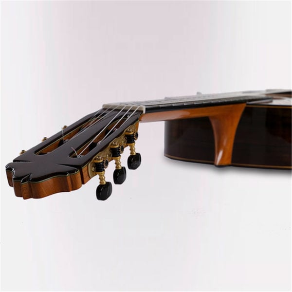Esteve 65th Anniversario Limited Ed