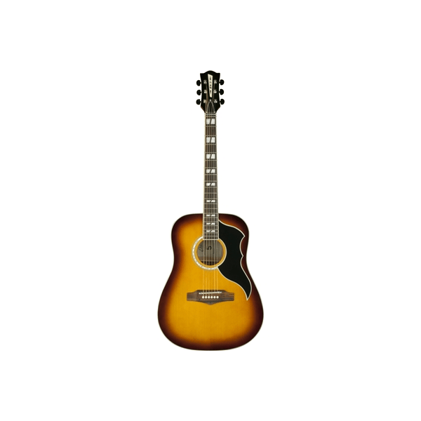 Eko Guitars Ranger VI VR Honey burst