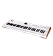 ico 2