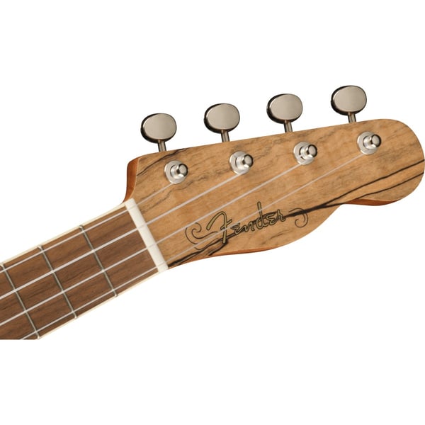 FENDER Ukulele Concert Strumenti popolari Acero marezzato Natural