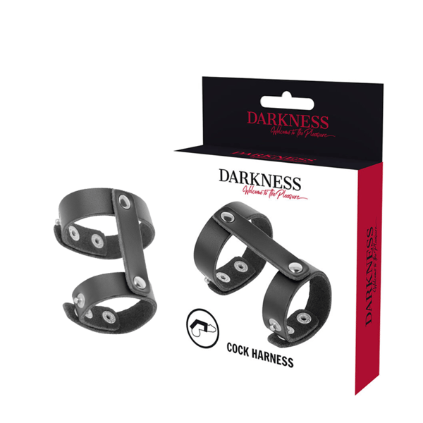 DARKNESS™ – VERSTELLBARER PENIS- UND HODENRING AUS LEDER