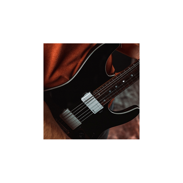 Fishman Fluence Modern Humbucker Set (PRF-M36-SW2)