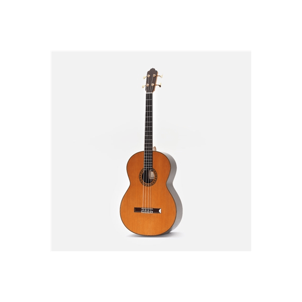 Esteve Octave Bass 4 Chitarra Contrabbasso