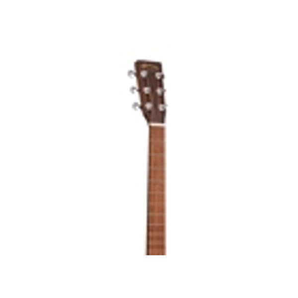 Martin & Co. GPC-X2E Cocobolo Remastered