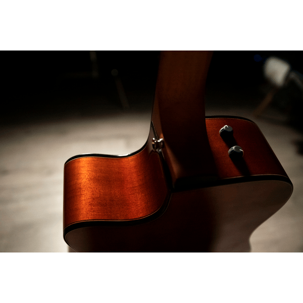 OQAN QGA-100CE SBG (PREAMP)
