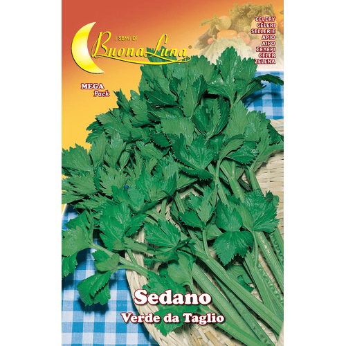 SEMI ORTO SEDANO VERDE DA TAGLIO