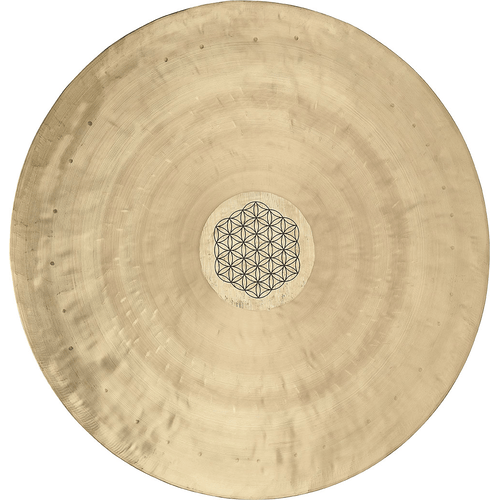 SONIC ENERGY WGFOL20