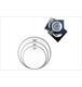 ico 3
