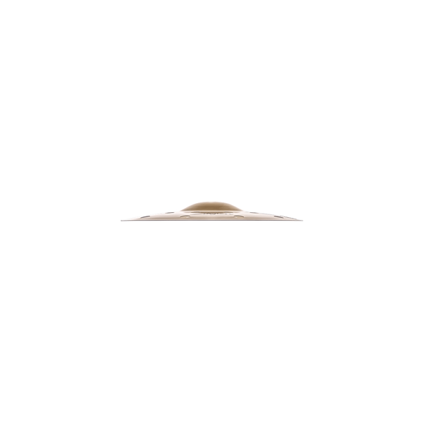 Zildjian A20808-10" A Custom EFX