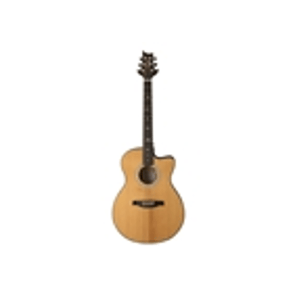 PRS SE A50E Black Gold Burst