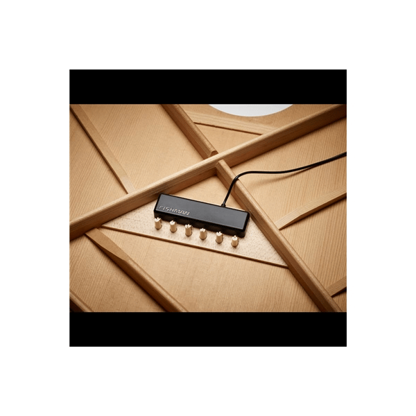 Fishman PowerTap Earth Pickup (PRO-REP-104)