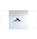 ico 3