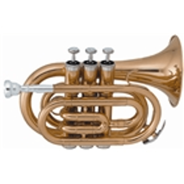 SML Paris VSM TP50 Tromba Pocket Laccata