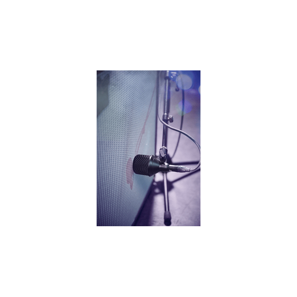 Shure Nexadyne NXN2