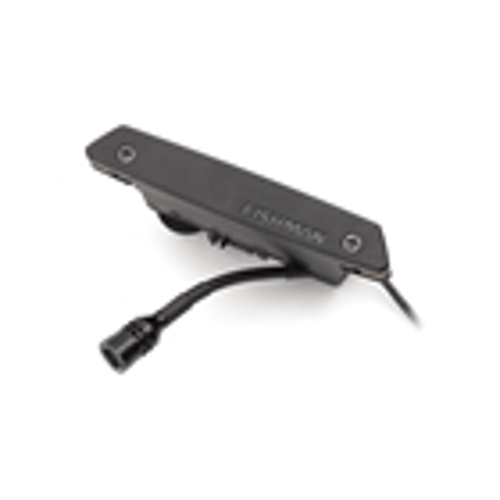Fishman Rare Earth Soundhole Mic Blend Pickup