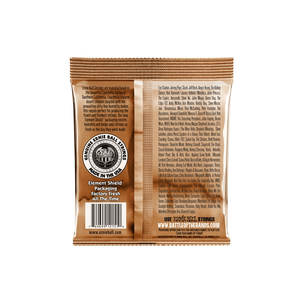 Ernie Ball 2151 Earthwood Rock & Blues con SOL Liscio Phosphor Bronze
