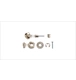 ico 2