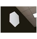 ico 2