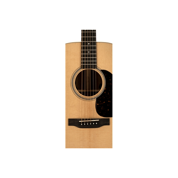 Martin & Co. D-16E-01 Rosewood