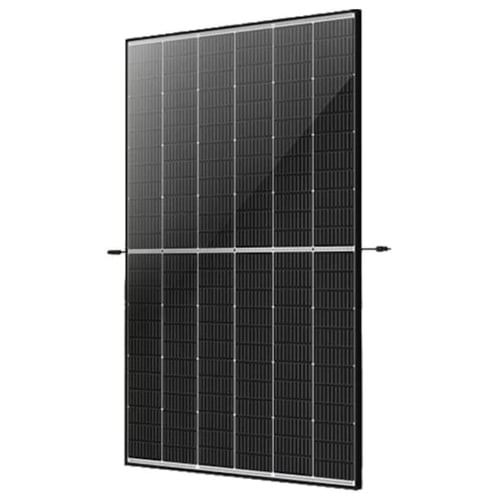 Modulo Trina Solar TSM-450NEG9R.28 (BFR, EVO2) 450 Wp