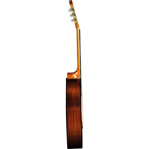 Eko Guitars CS-12