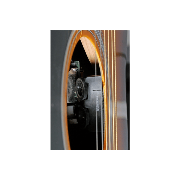 Eko Guitars Ranger VI VR Eq Honey burst