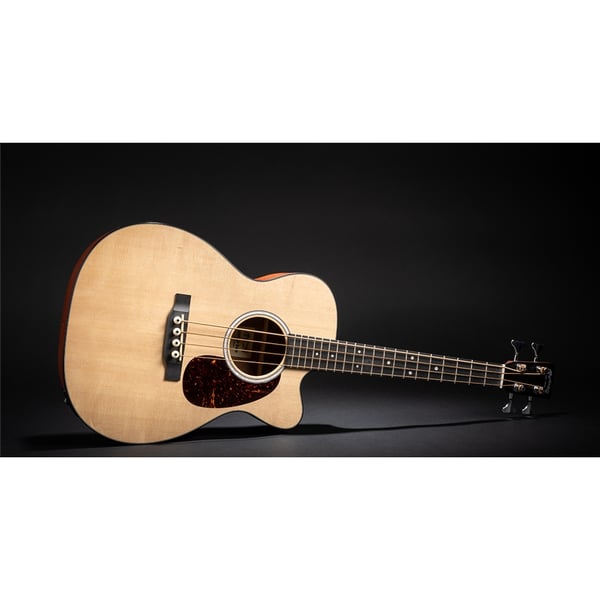 Martin & Co. D Jr-10E BASS
