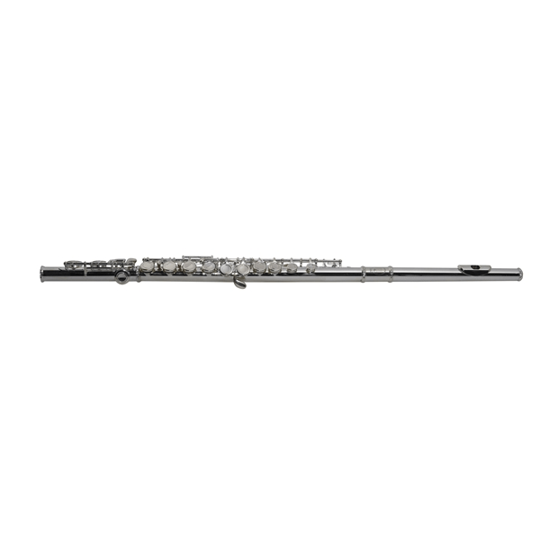 SML Paris VSM FL300E