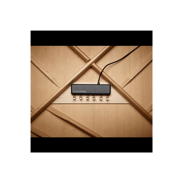 Fishman PowerTap Earth Pickup (PRO-REP-104)