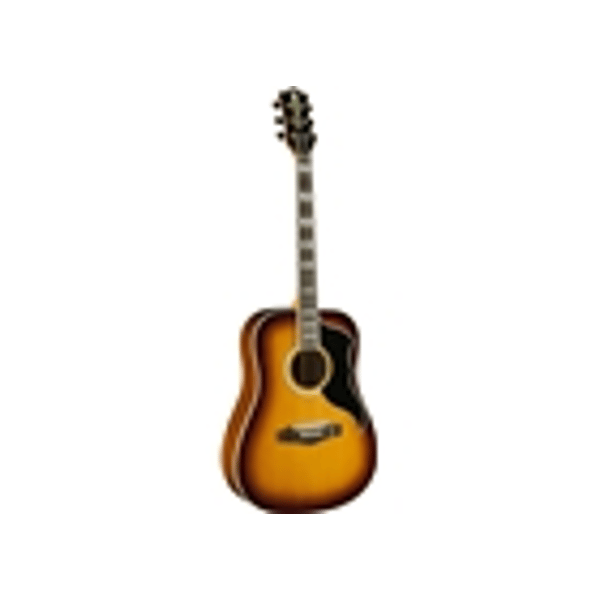 Eko Guitars Ranger VI VR Eq Honey burst