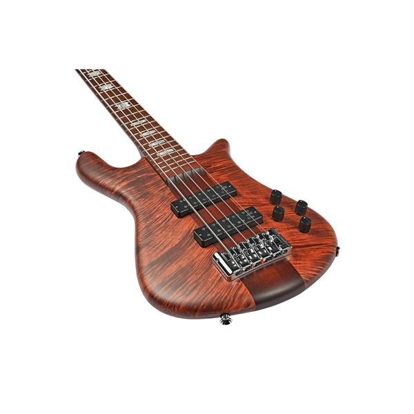 Spector NS Euro 5 RST Sienna Stain Matte