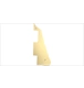ico 2