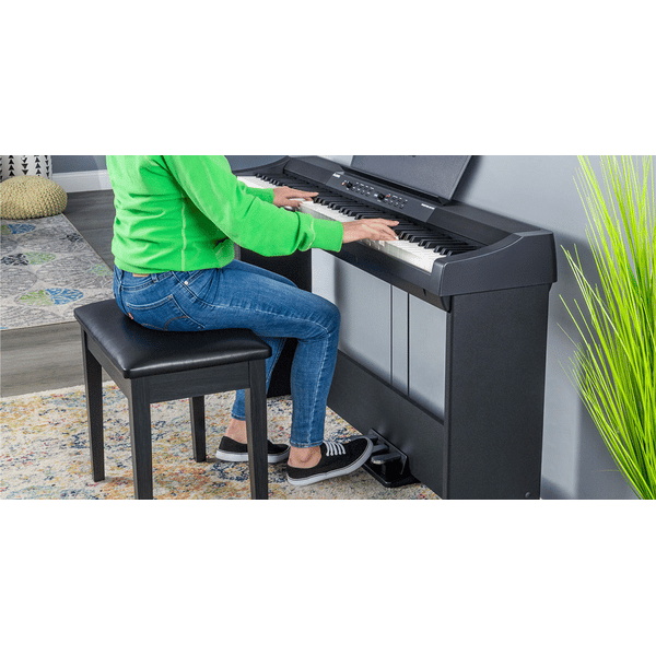 Alesis AHB-1