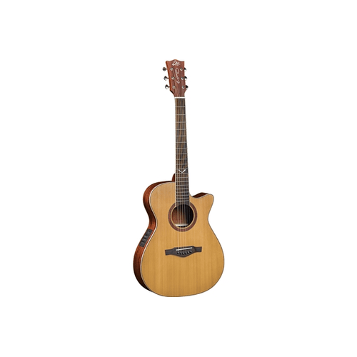 Eko Guitars Evo A350ce