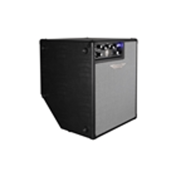 Ashdown ORIGINAL EVO C112-300