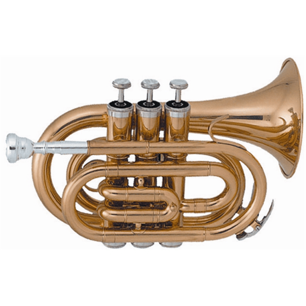 SML Paris VSM TP50 Tromba Pocket Laccata