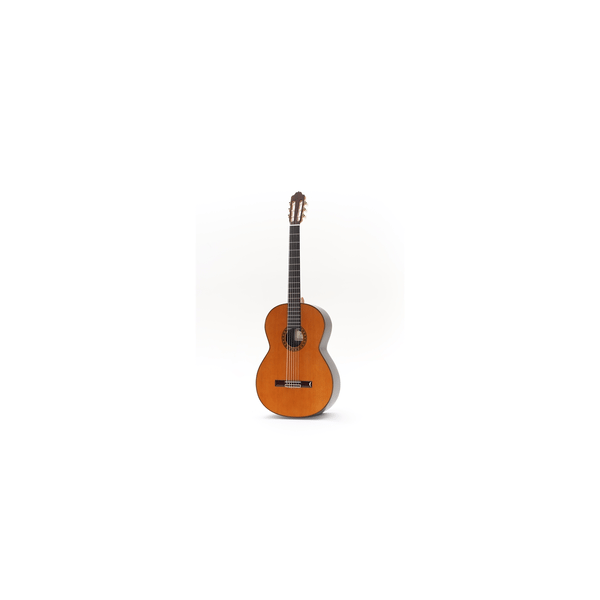 Esteve Octave Bass 6 Chitarra Contrabbasso