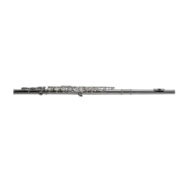 SML Paris VSM FL300E