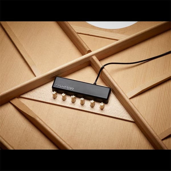 Fishman PowerTap Earth Pickup (PRO-REP-104)