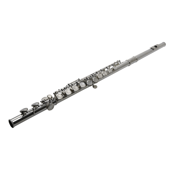 SML Paris VSM FL300E